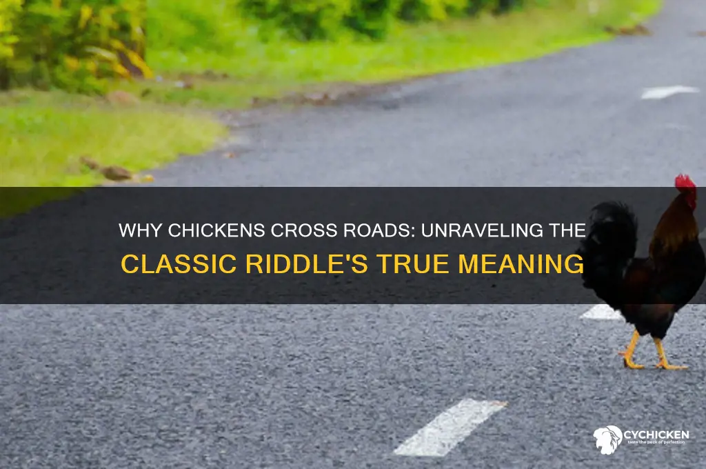 why did the chicken crosd the road explaination