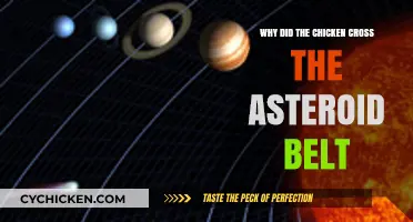 Why Chickens Would Never Cross the Asteroid Belt: A Cosmic Joke Explained