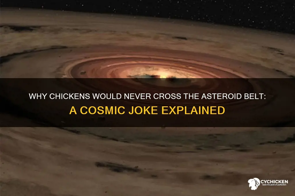 why did the chicken cross the asteroid belt