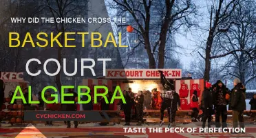 Basketball Court: Chicken's Algebraic Adventure