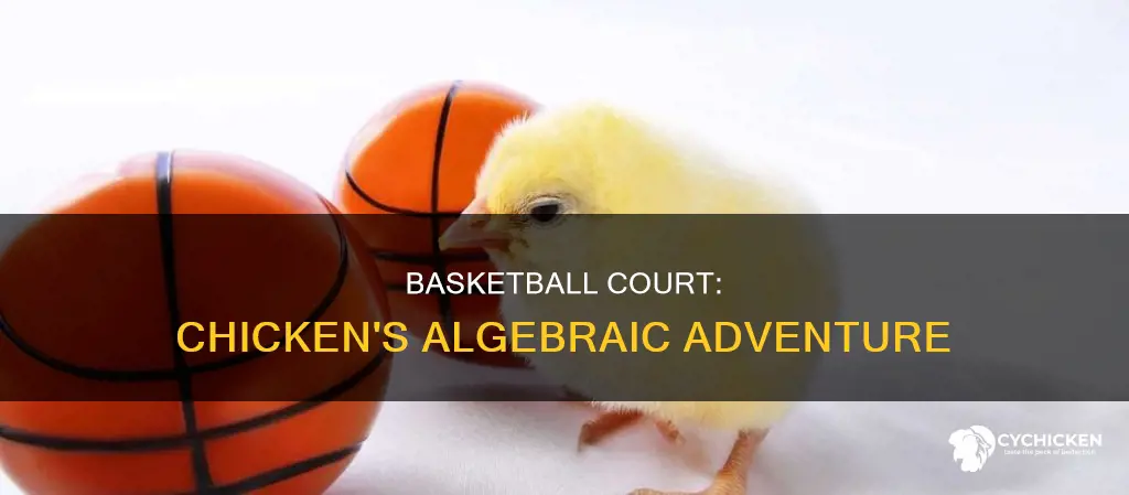 why did the chicken cross the basketball court algebra