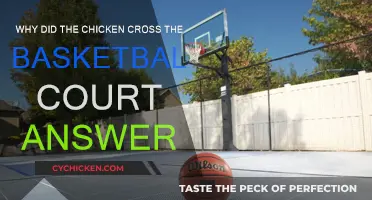 The Chicken's Basketball Court Adventure: Why?