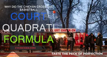 Chicken's Court Crossing: Quadratic Formula Mystery