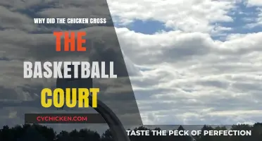 Why Chickens Cross Basketball Courts: A Humorous Hoops Mystery Explained