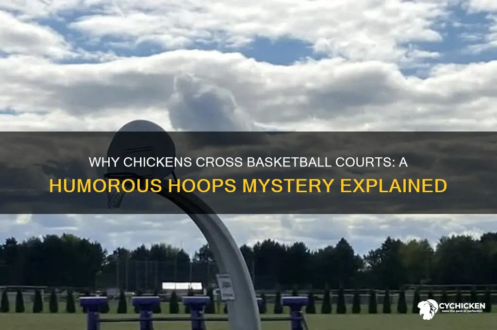 why did the chicken cross the basketball court