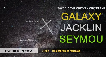Exploring the Galaxy with Jacklin Seymour and a Chicken