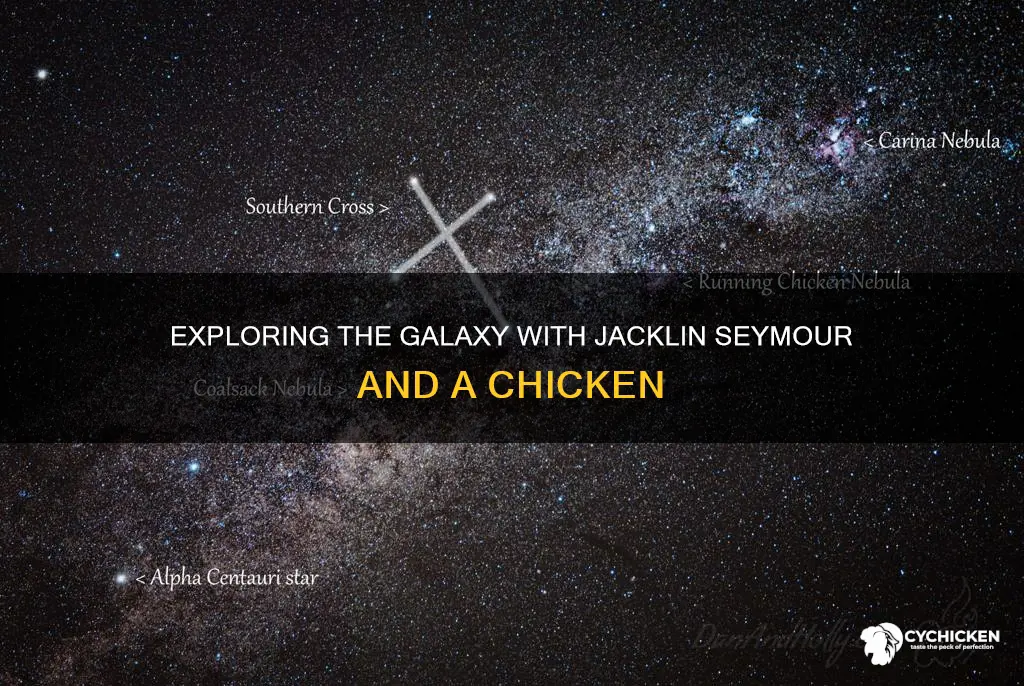 why did the chicken cross the galaxy jacklin seymour