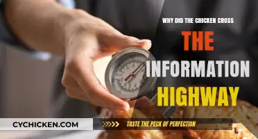 Why Chickens Cross Information Highways: Navigating Digital Chaos Safely