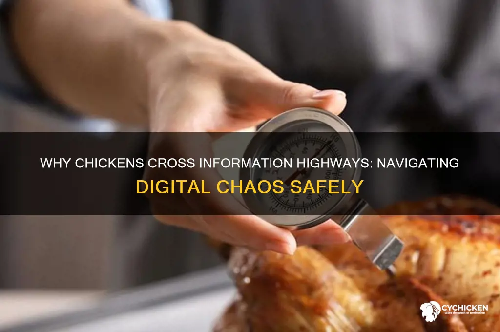 why did the chicken cross the information highway