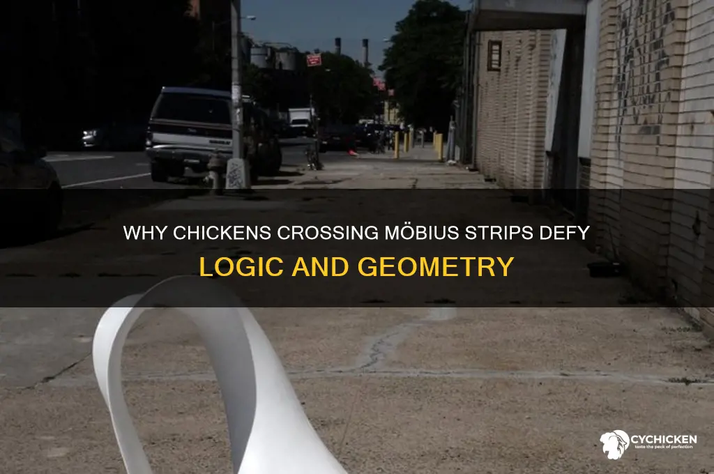 why did the chicken cross the mobious strip