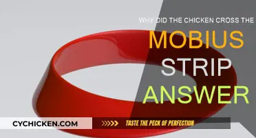 The Chicken's Mobius Strip: An Infinity of Questions