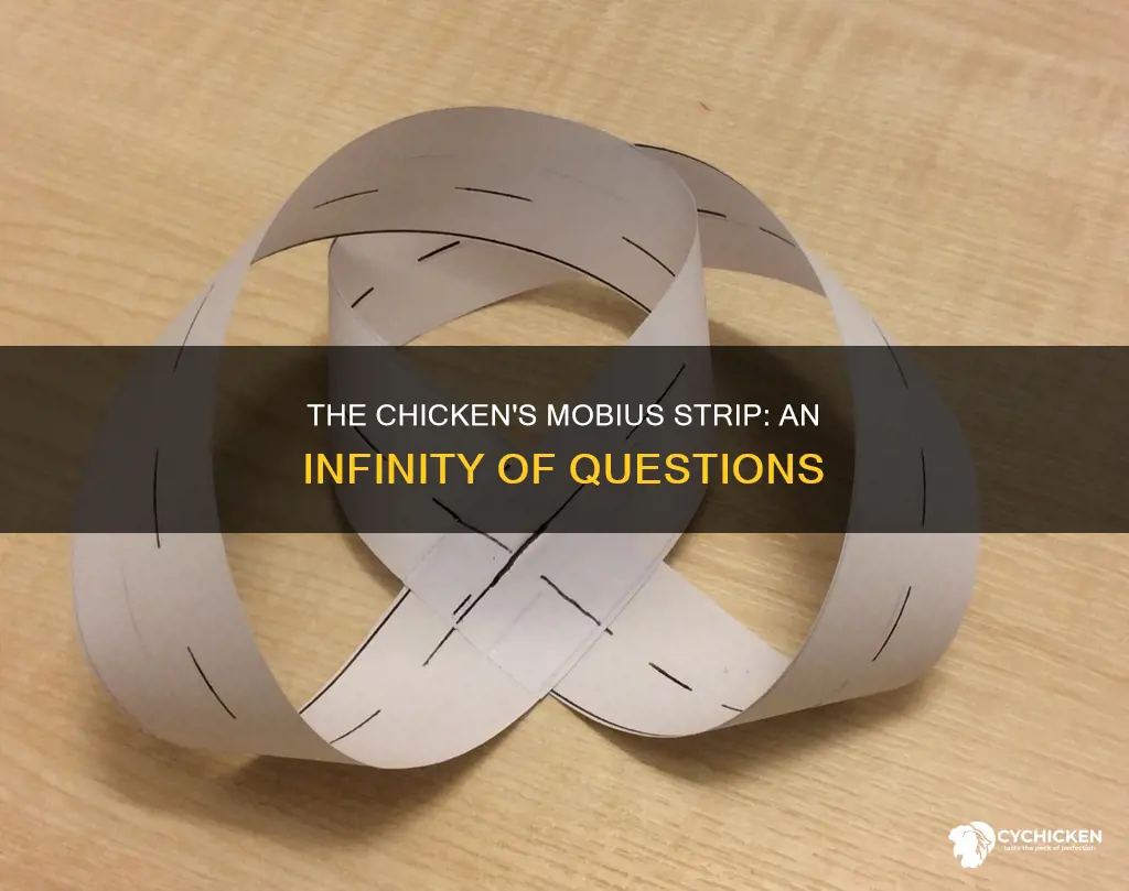 why did the chicken cross the mobius strip answer
