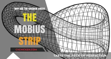 Why Chickens Crossing Mobius Strips Twist Our Reality