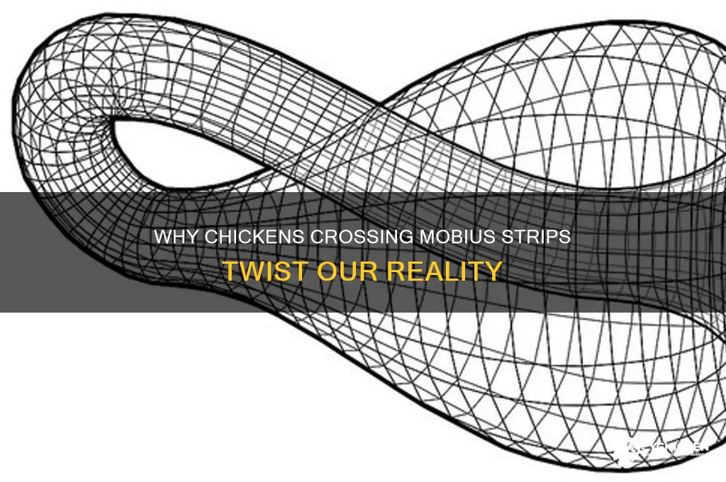 why did the chicken cross the mobius strip