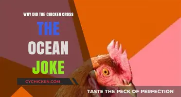 Why Did the Chicken Cross the Ocean? Unraveling the Hilarious Joke