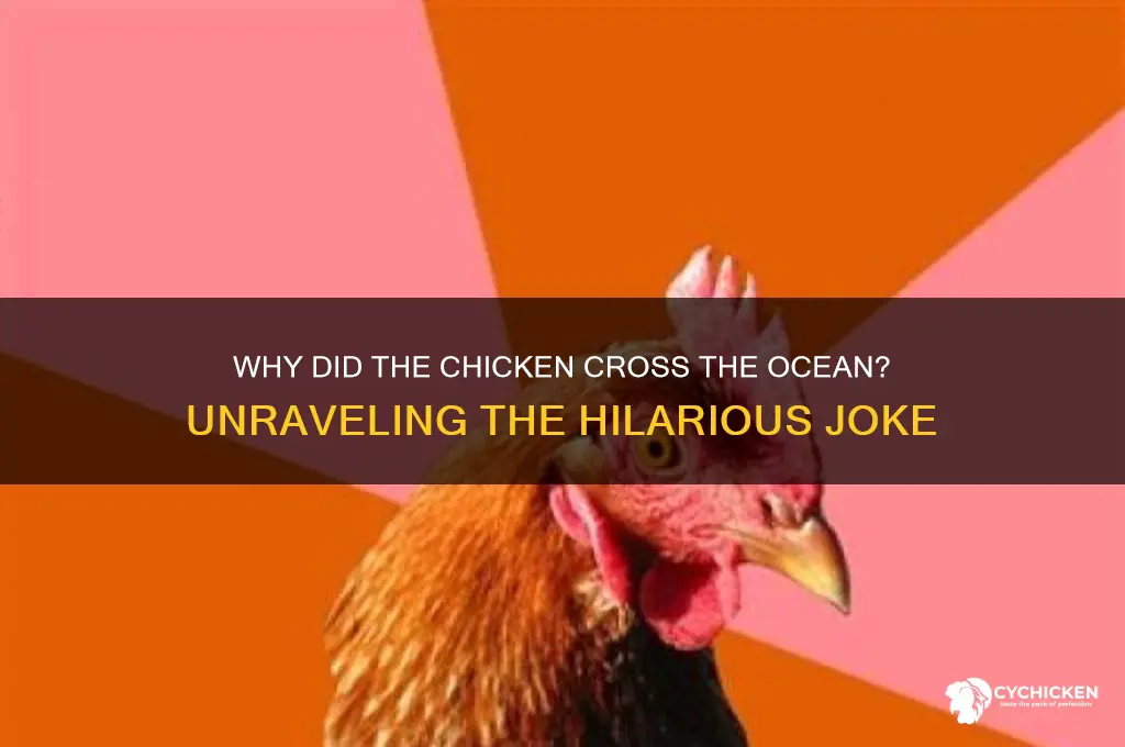 why did the chicken cross the ocean joke