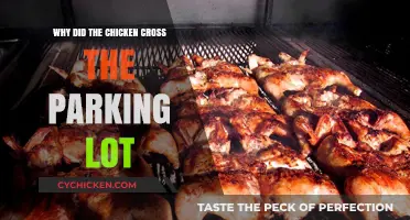 Why Chickens Cross Parking Lots: Unraveling the Urban Adventure