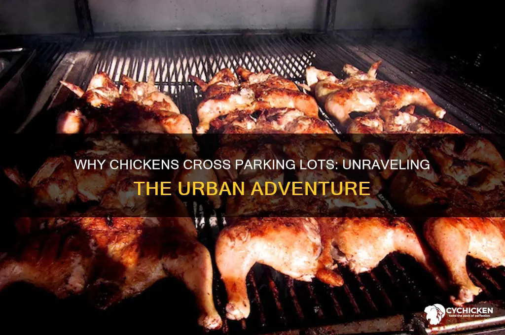 why did the chicken cross the parking lot