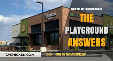 Why Chickens Cross Playgrounds: Unraveling the Surprising Reasons Behind It