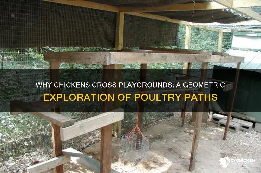why did the chicken cross the playground geometry