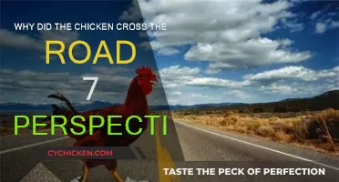Perspectives on the Chicken's Road Crossing Adventure