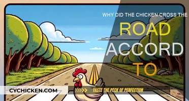 The Chicken's Reason for Crossing the Road