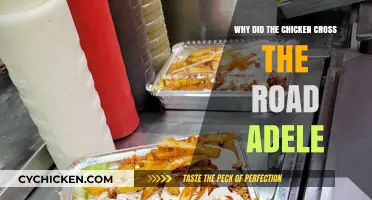 Why Did the Chicken Cross the Road? Adele's Unexpected Take