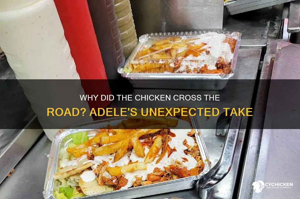 why did the chicken cross the road adele