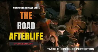 Why Chickens Cross Roads in the Afterlife: A Humorous Exploration