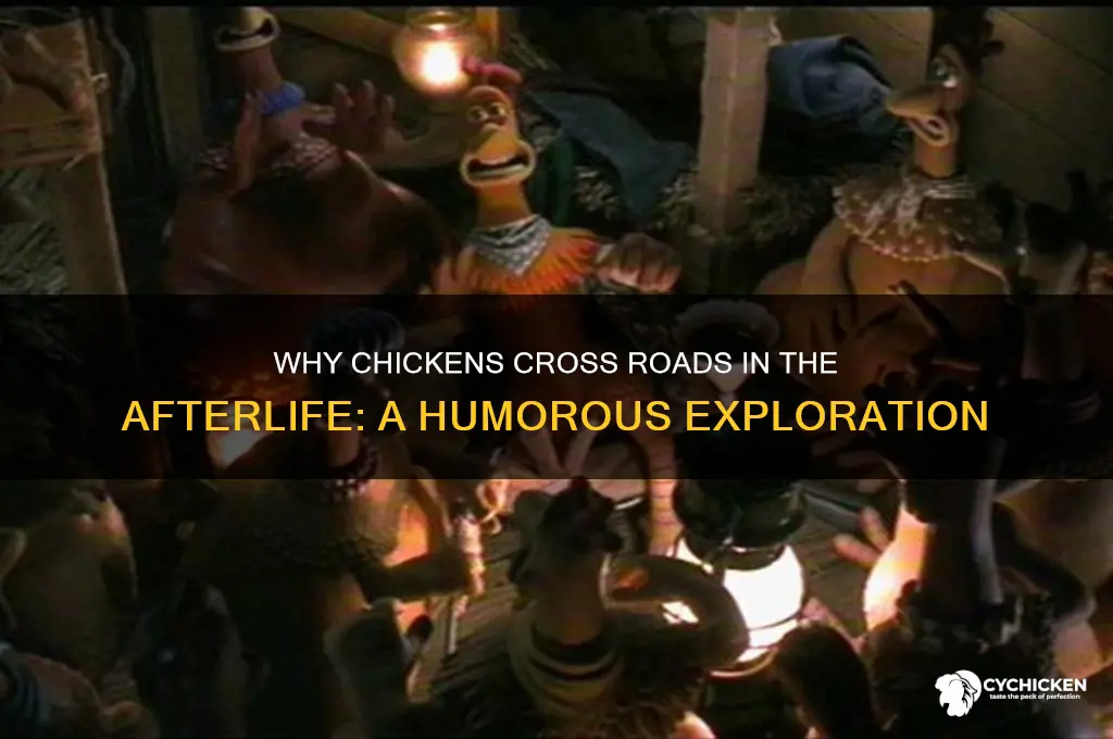 why did the chicken cross the road afterlife