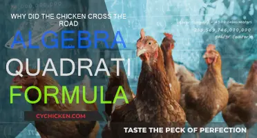 Chicken Road Crossing: Algebra's Quadratic Formula Mystery