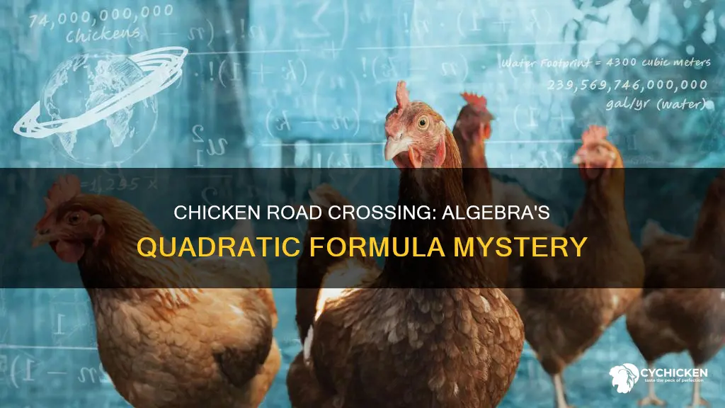 why did the chicken cross the road algebra quadratic formulas