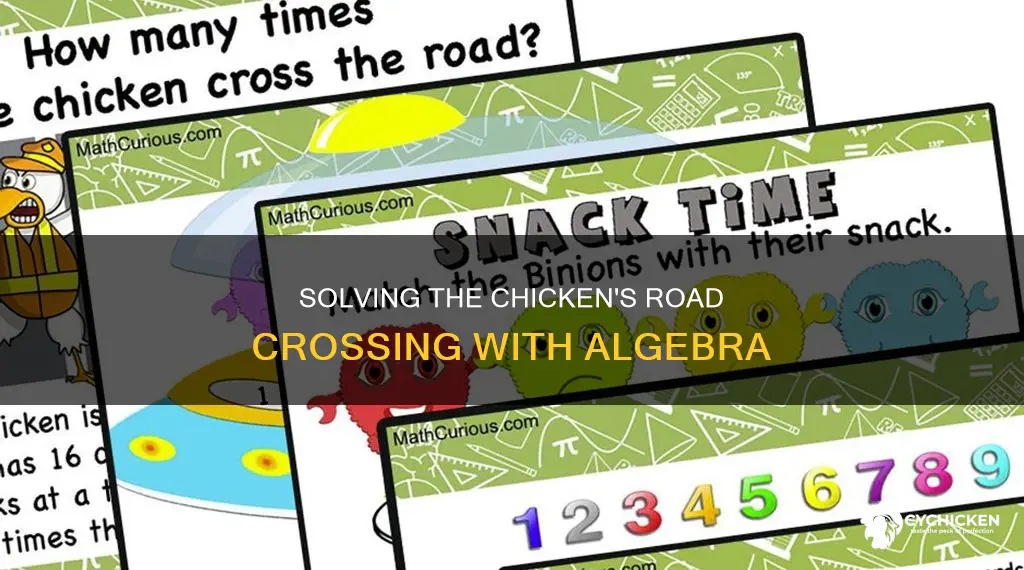 why did the chicken cross the road algebra worksheet answers