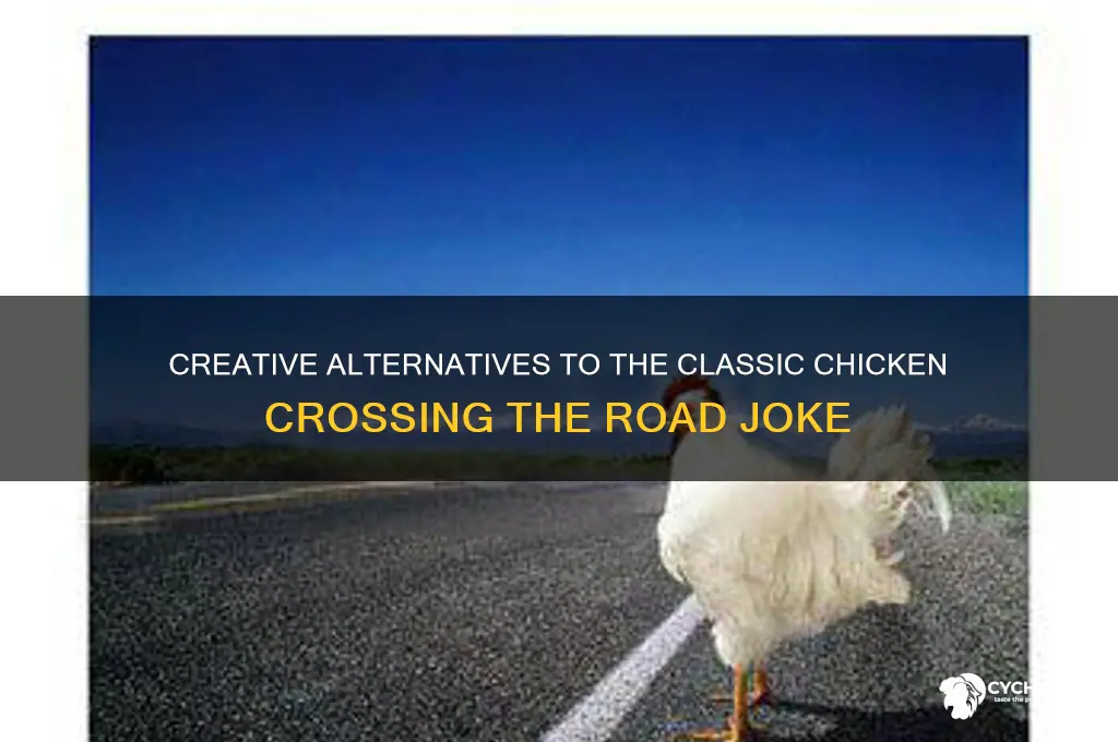 why did the chicken cross the road alternatives