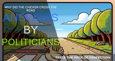 Politicians' Witty Takes on a Classic Riddle