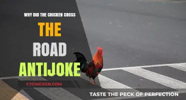 Why Did the Chicken Cross the Road? The Antijoke Explained