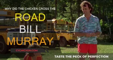 Bill Murray's Chicken: Crossing Roads, Making Laughs