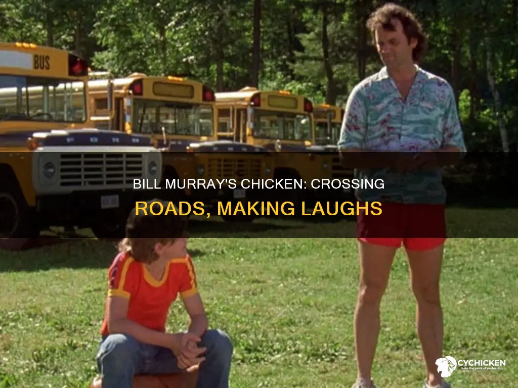 why did the chicken cross the road bill murray