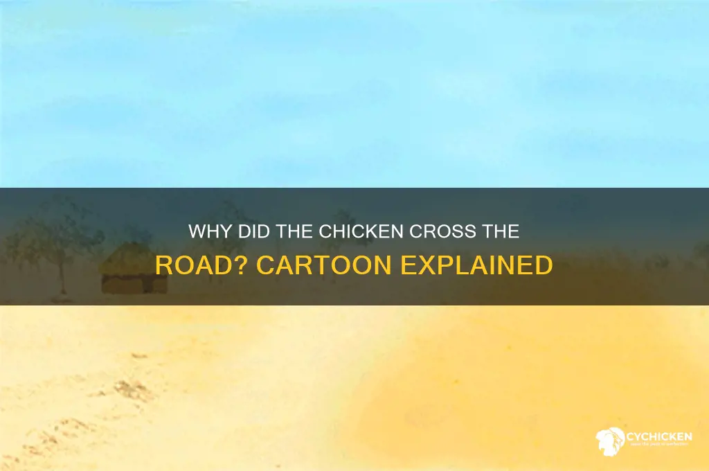 why did the chicken cross the road cartoon