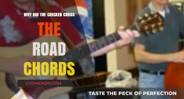 Why Did the Chicken Cross the Road? Chords and Humor Explored