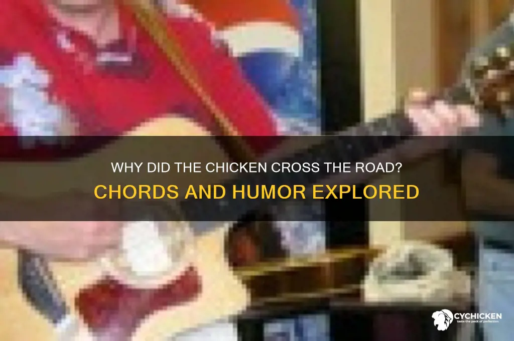 why did the chicken cross the road chords