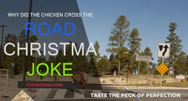 Festive Fun: Chicken's Road Trip