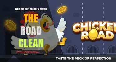 Why Chickens Cross Roads: The Clean and Safe Way Explained
