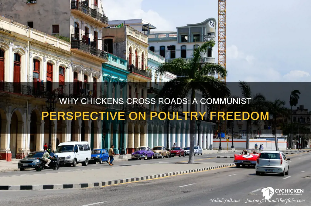 why did the chicken cross the road communism