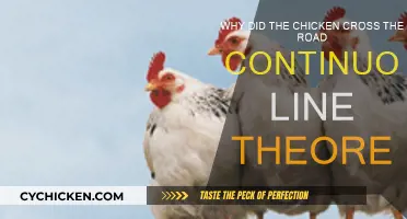 The Chicken's Road Crossing: A Continuous Line Adventure