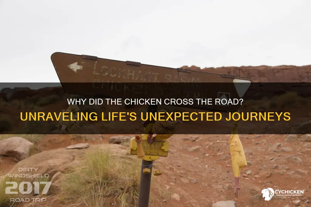 why did the chicken cross the road counseling