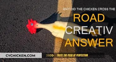 Creative Clucks: The Chicken's Road Trip