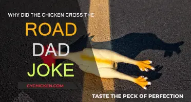 The Chicken's Road Trip: A Dad Joke Explained