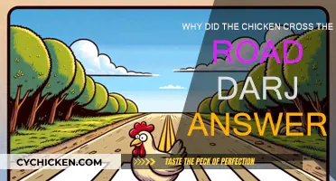 The Chicken's Road Crossing: A Dark Mystery