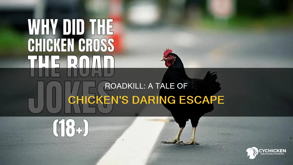 why did the chicken cross the road dark humor